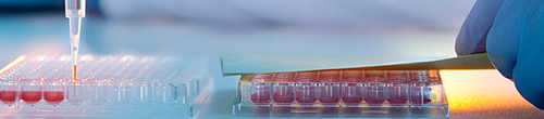 m2gl_img_ma